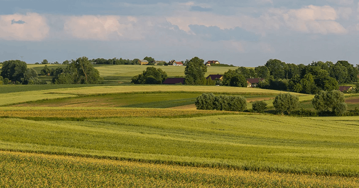 Inside Elevate Organic's Commitment to Regenerative Agriculture