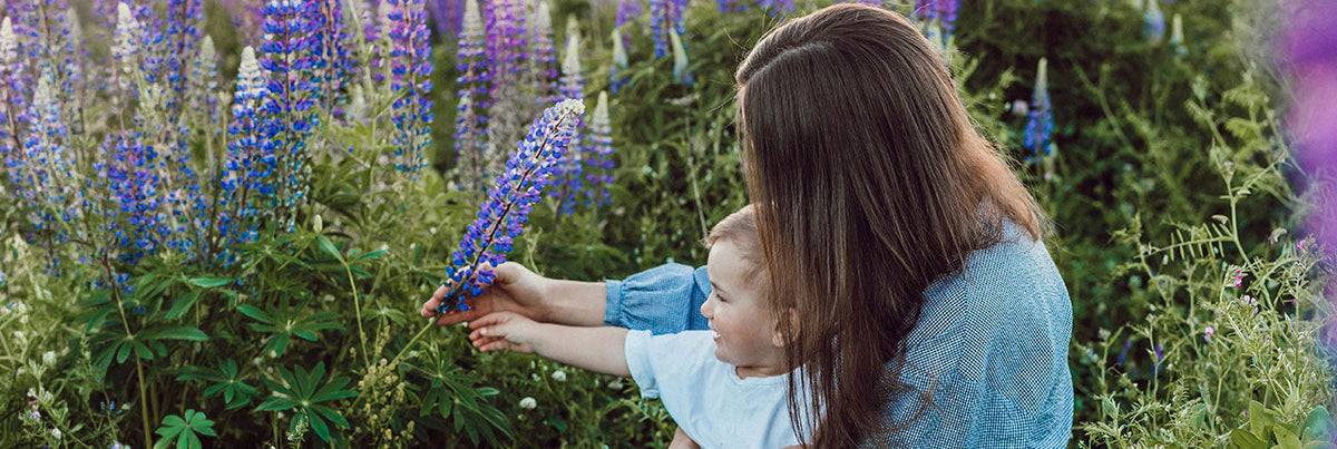 Why Shatavari Belongs in a Mom’s Routine for Hormone & Lactation Support