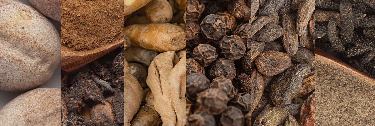 What Is Organic Acti Veda™? A Closer Look at Elevate Organic’s Ayurvedic Innovation