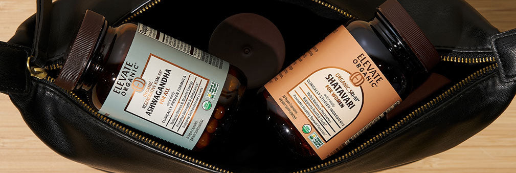 How Traditional Ayurvedic Herbs Can Help to Support Your Nervous System
