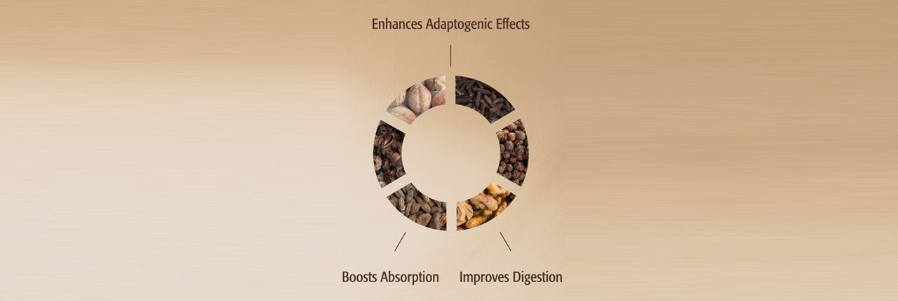 Acti Veda™ and Regenerative Organic Certified® KSM-66 Ashwagandha®: How This Combination Delivers Superior Adaptogenic Benefits