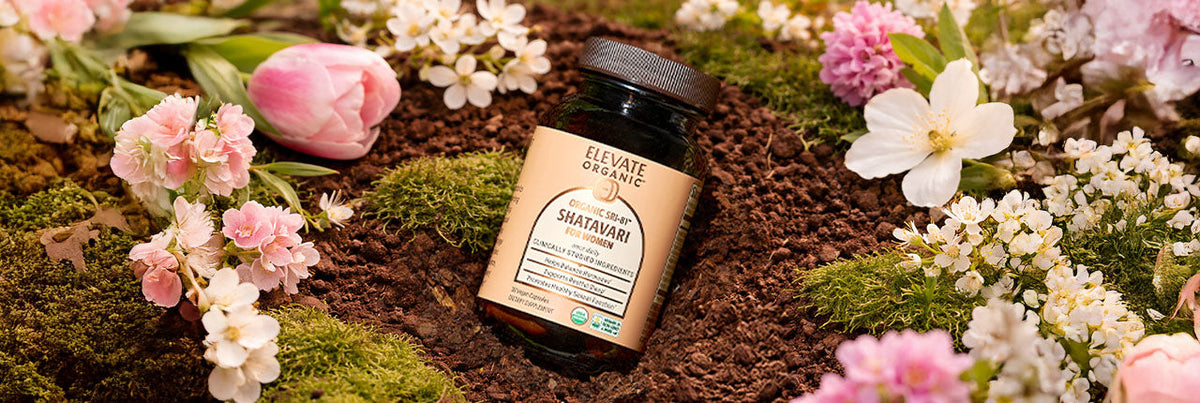 How to Refresh Your Body, Hormones & Routine for Spring