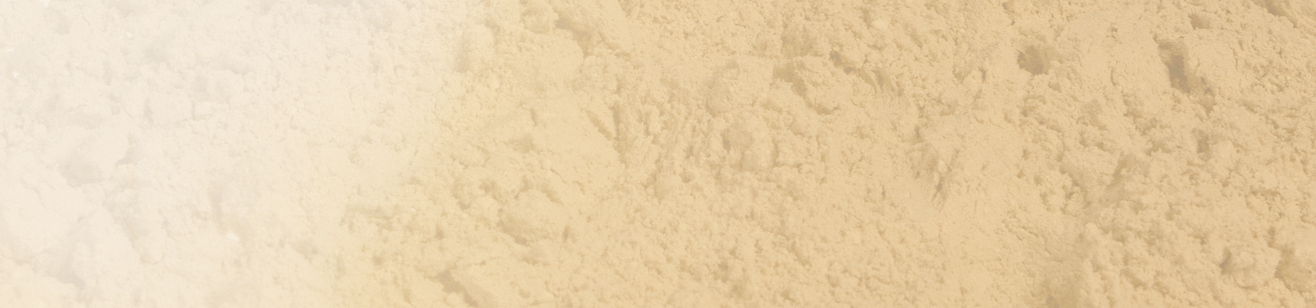 Whey Protein Powder