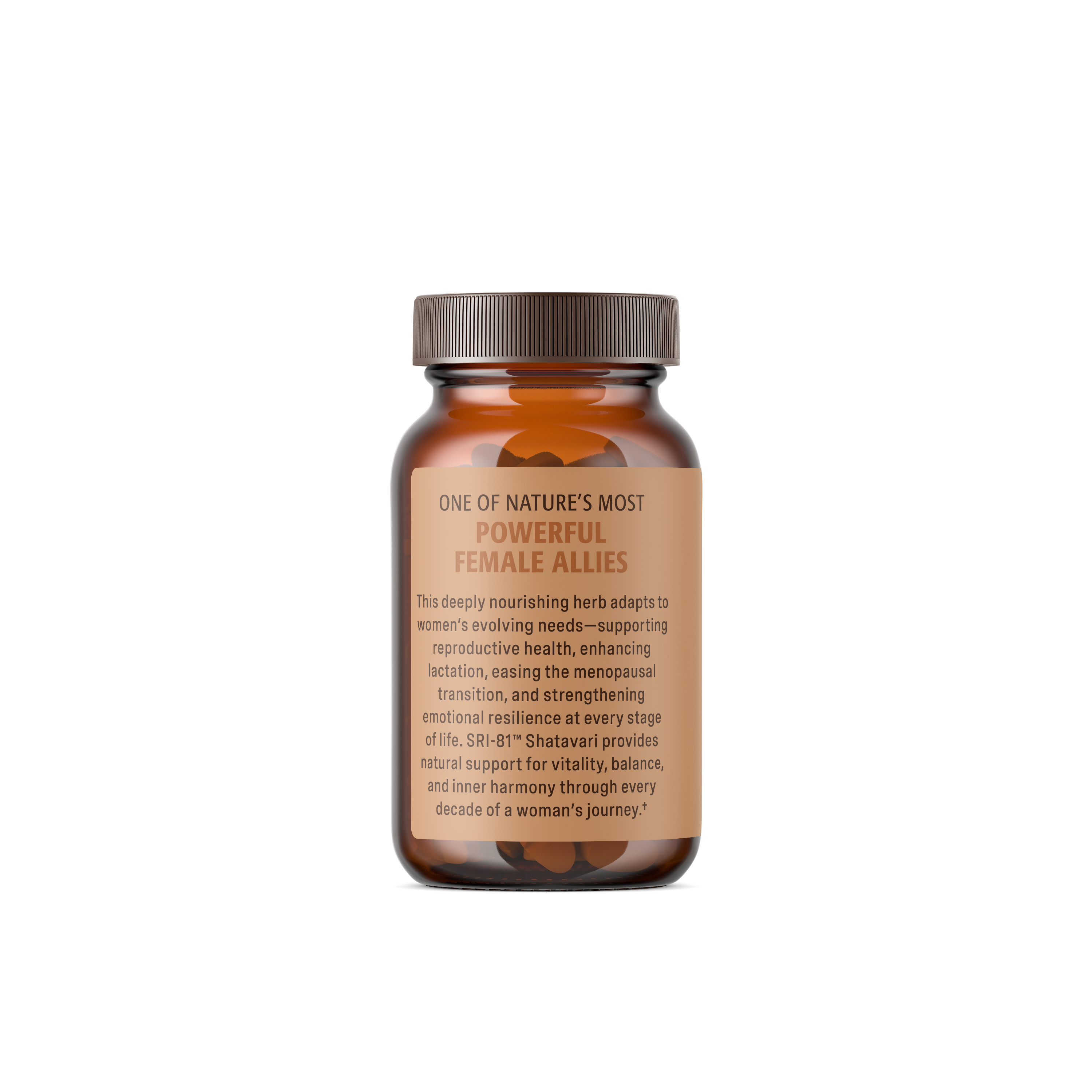 Shatavari Capsules - 30 Servings