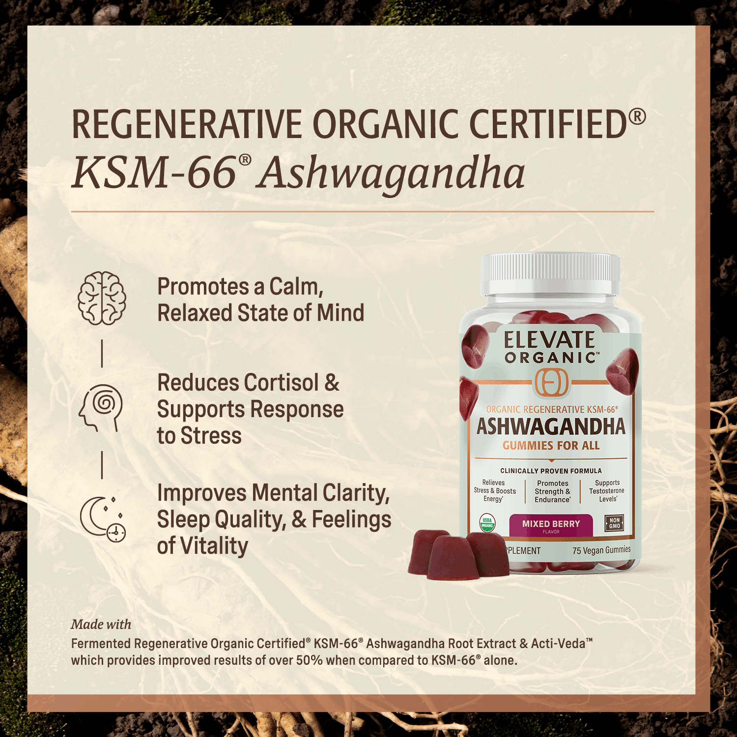 Ashwagandha Gummies - 25 Servings