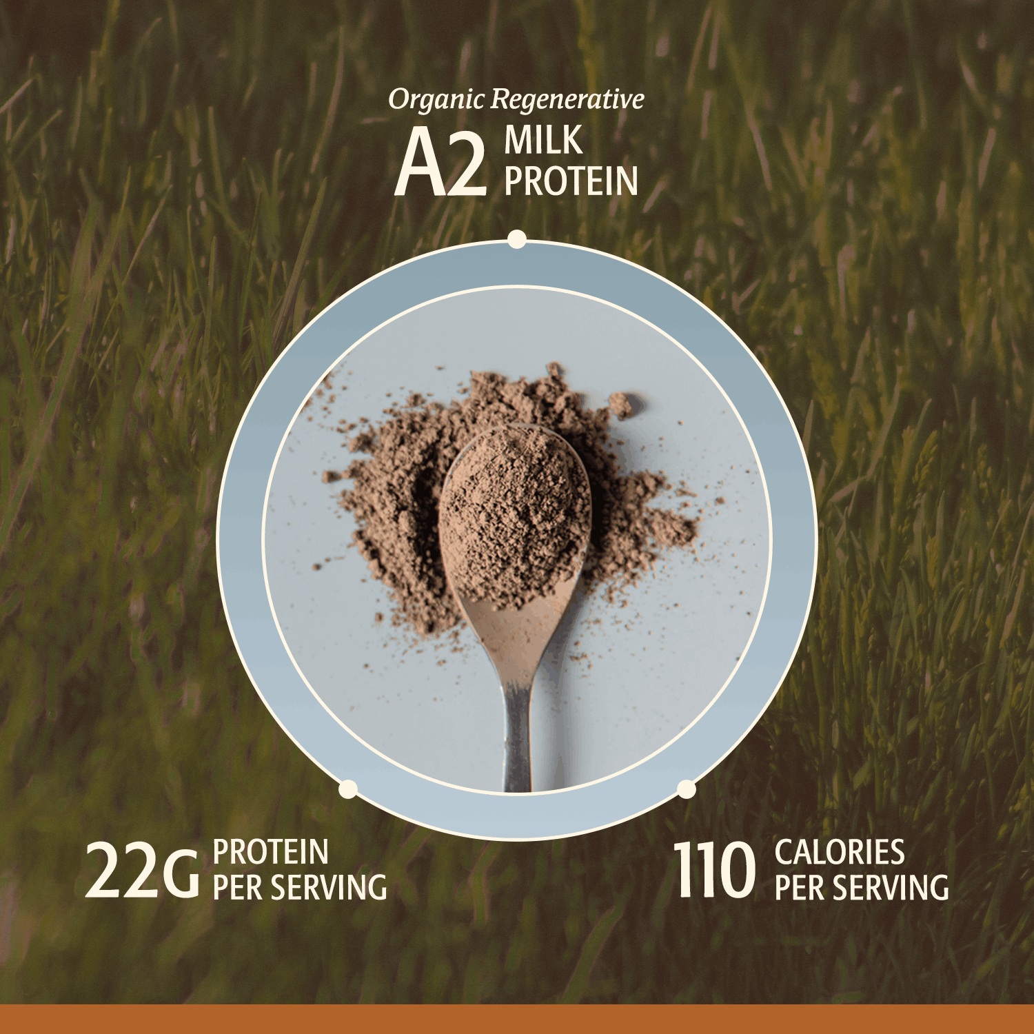 Organic Men's Protein Grassfed Whey Powder - 18 Servings