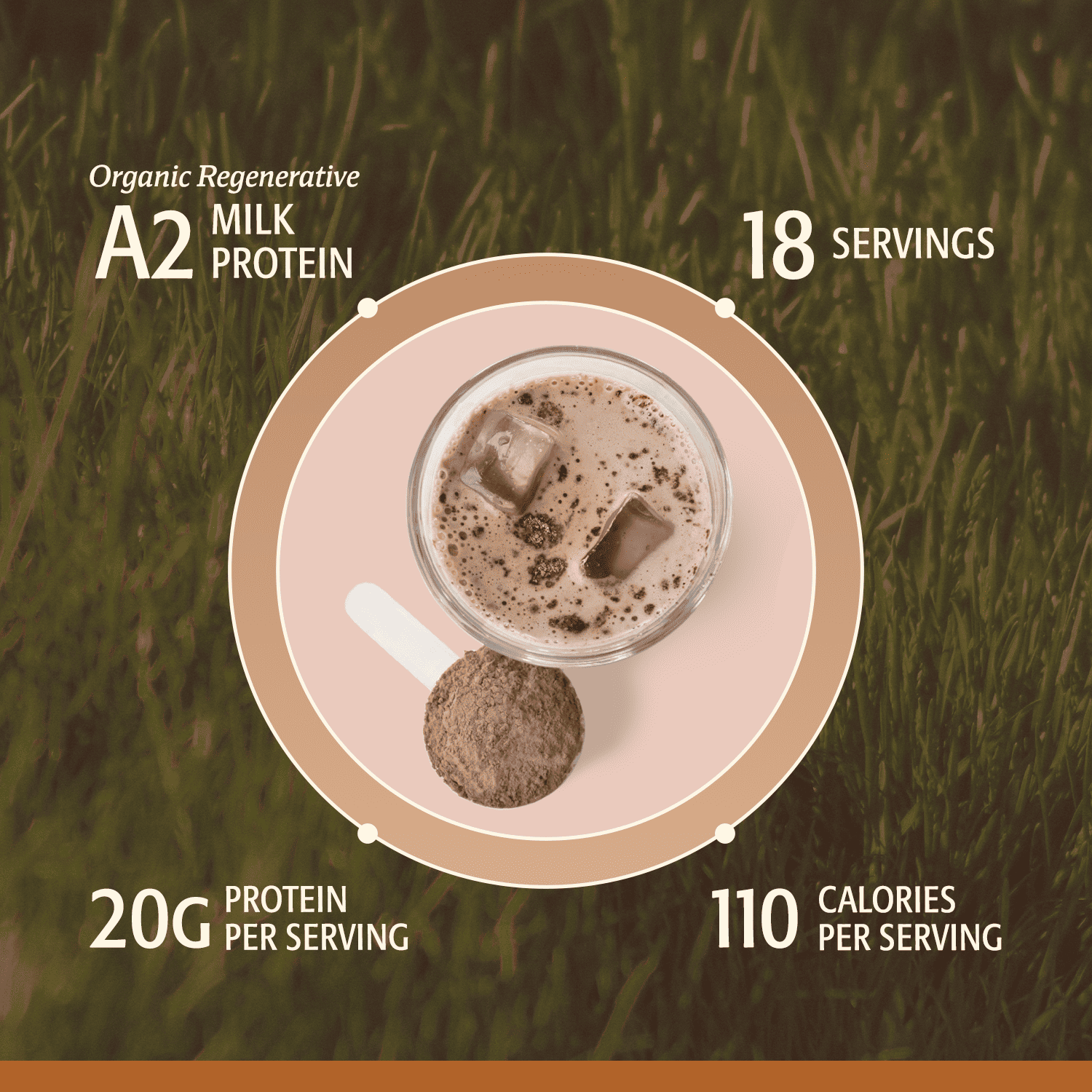 Organic Women's Protein Grassfed Whey Powder - 18 Servings