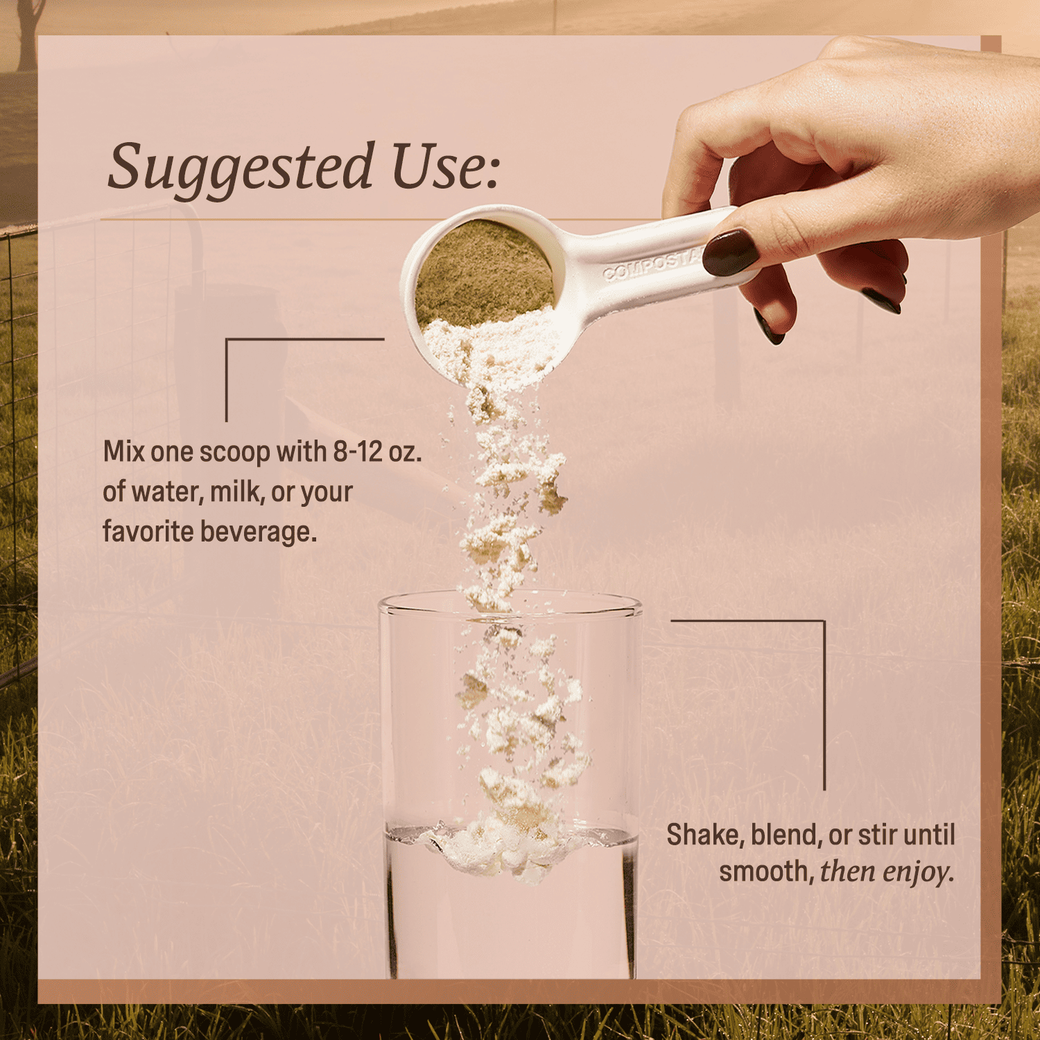 Organic Women's Protein Plant-based Powder - 18 Servings