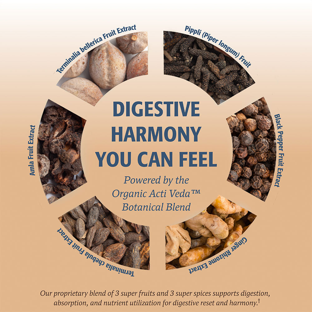10-Day Gut Reset Probiotic Capsules - 10 Servings