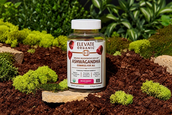 Ashwagandha gummies bottle among moss and stones